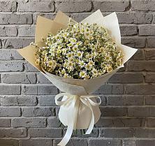 Букет цветов из:  Ромашки #REPLACE_PRED# Саянский
